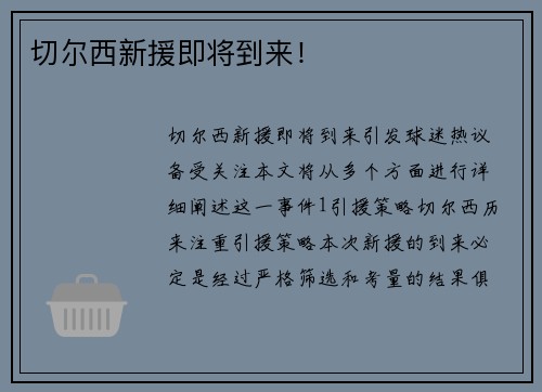 切尔西新援即将到来！